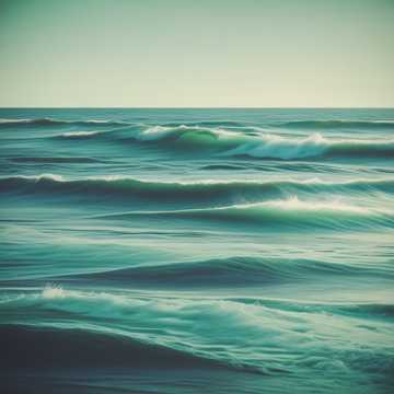 TEHILIM 27 (PSALM)