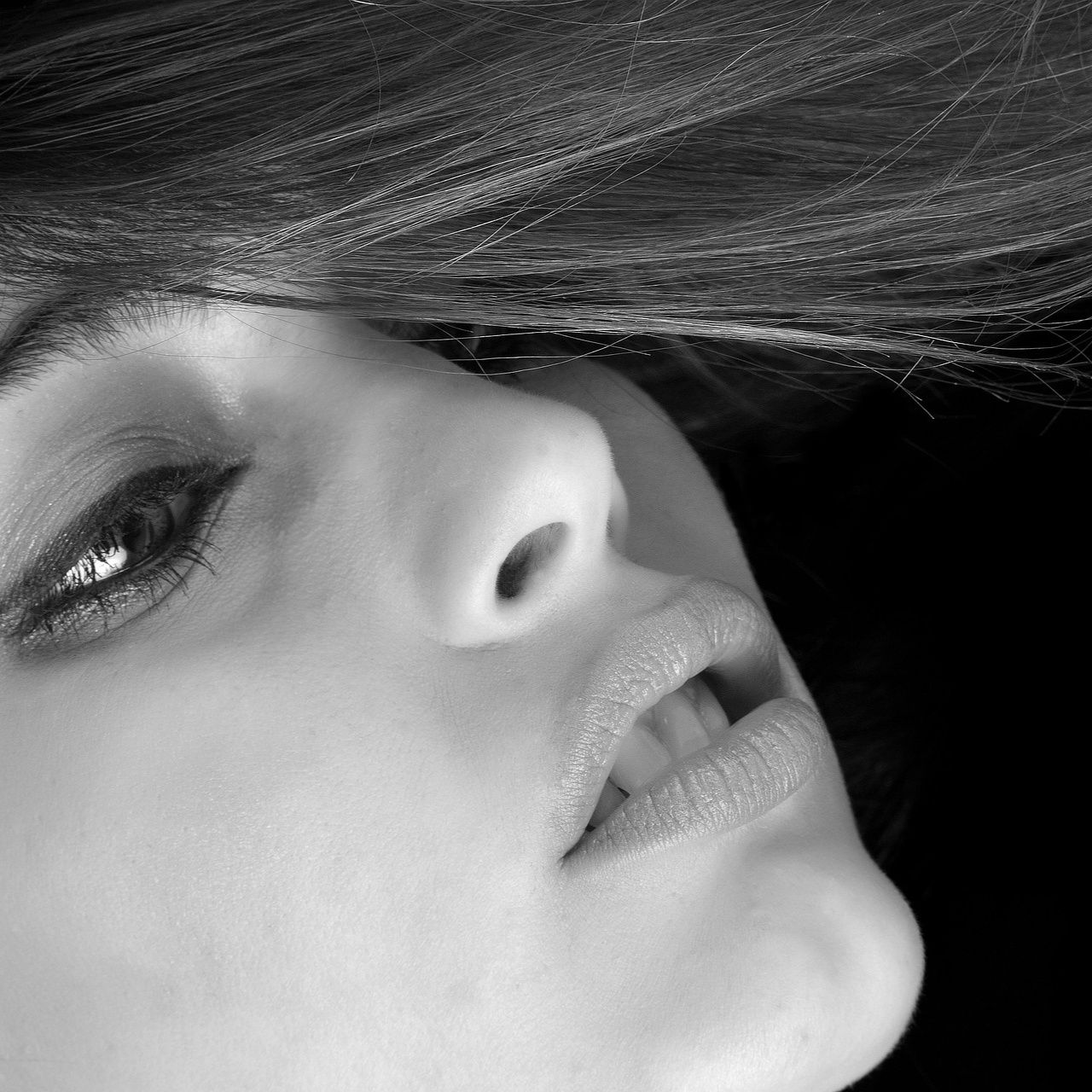Eres una flor silvestre