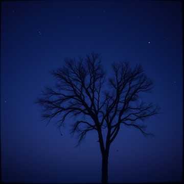 * To you who lost love - Do Jong-hwan