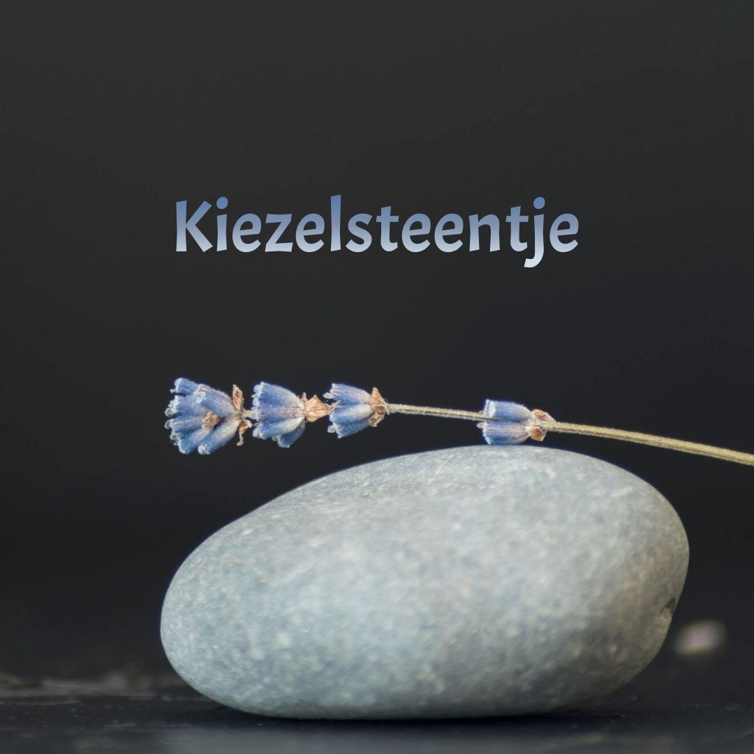 Kiezelsteentje