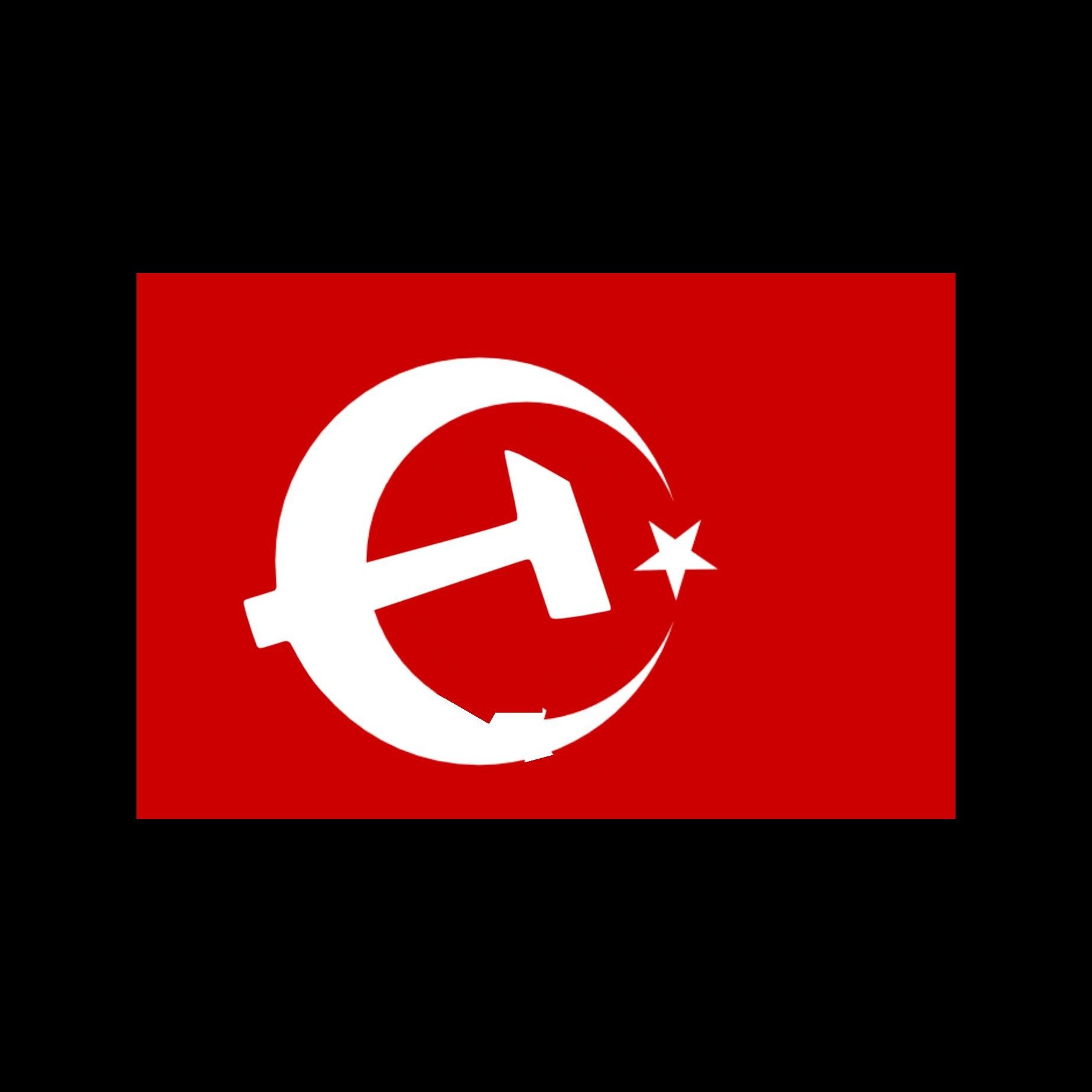 Türkiye Sosyalist Cumhuriyeti: Türkiye'nin Kızıl Ufku