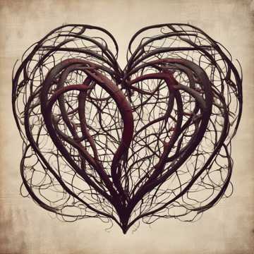 Ich liebe dich, weil ich mich schäme, und schäme mich, weil ich dich liebe