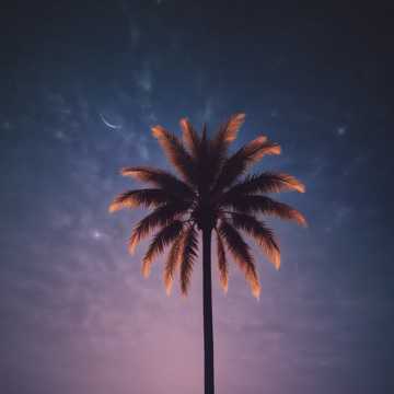 Love Take Me Higher