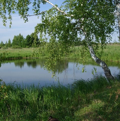 Чтобы память во снах возвращала сюда....