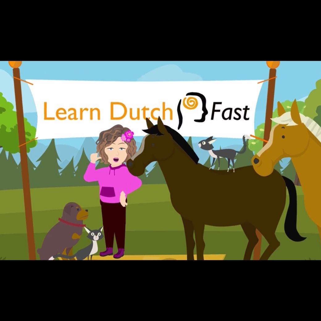Duet Dutch Verbs  (Past, Irregular)