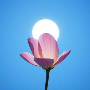 참사랑(Love Takes Time)