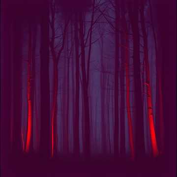 Survivor's Melody