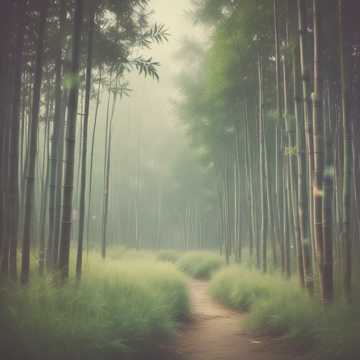 สายใยในสายหมอก