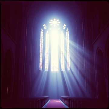 Les pierres et Cathédrale de chair (Rose)