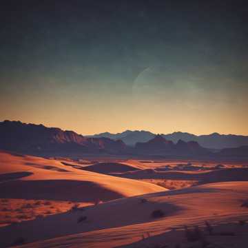 فرحة القلب