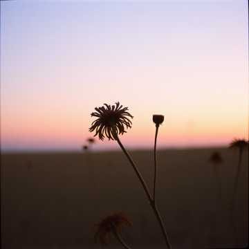 강가의 기억 (Memories by the River) 🎶