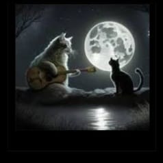 Under 🌙 Moonlight