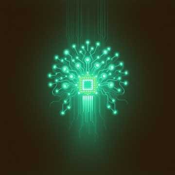 Assimilation Protocol 