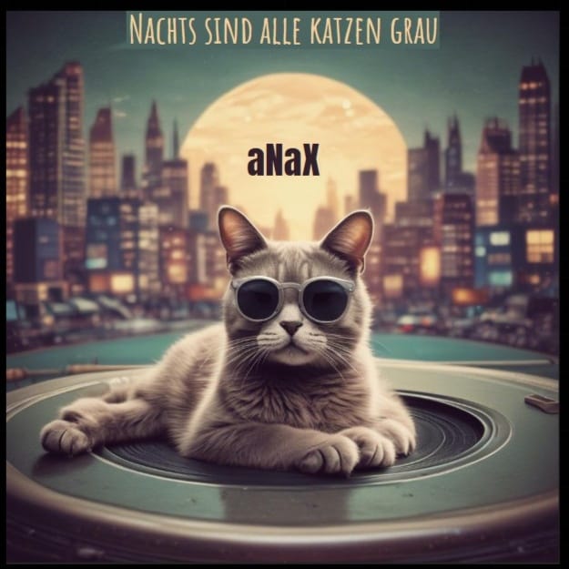 aNaX - Nachts sind alle Katzen grau