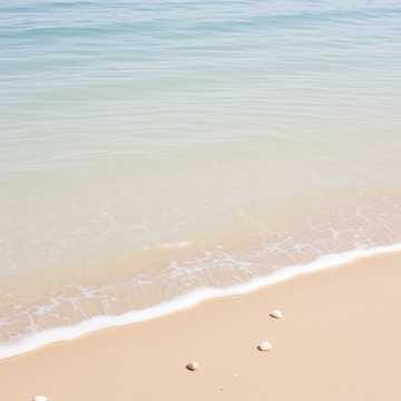 Open Water