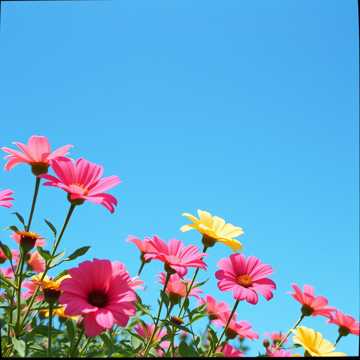 날아올라 (Fly High)