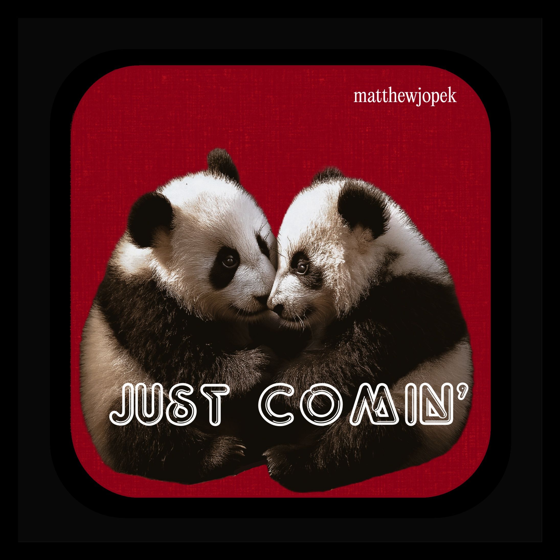 JUST COMIN' 🐼