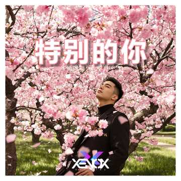 特别的你