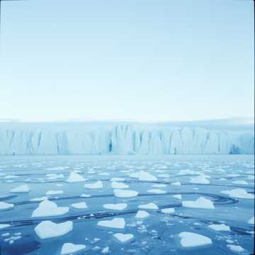 The Kuudere Song