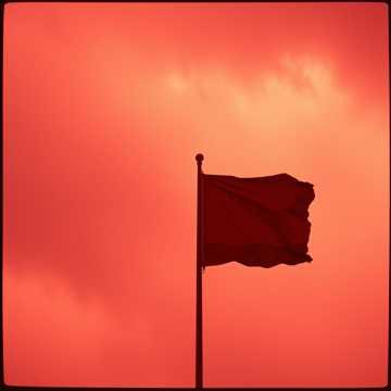 Fekete-piros dal