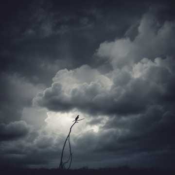 Тени в легких (Shadows in your lungs)