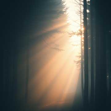 人の優しさに触れる時When we are touched by the kindness of others
