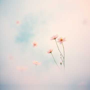 Three Seasons