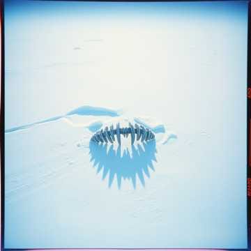 "Slipped Away (And So Did My Spine)"