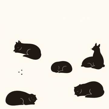 Sleeping Position