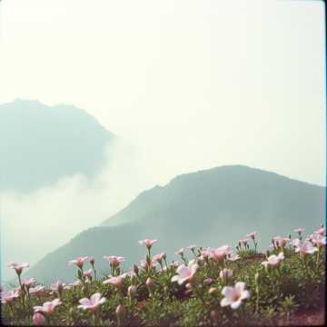Đà Lạt trong mắt em (Remastered)