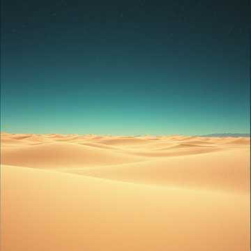To the Sea, To You