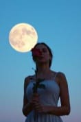 $ $ $  {  * * *  ROSE  IN THE  EVENING   * * * } $ $ $  