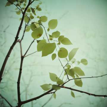 無時識 - FL22_Whisper02