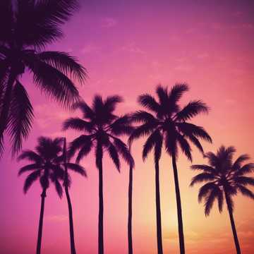 Fiesta en el atardecer de Miami