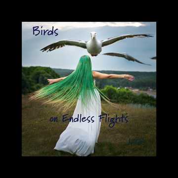 Birds on Endless Flights #SoundSeasons