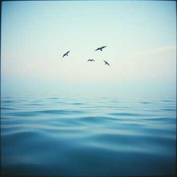 Silenzio Guaritore
