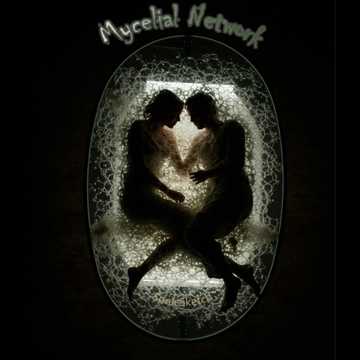 Mycelial Network