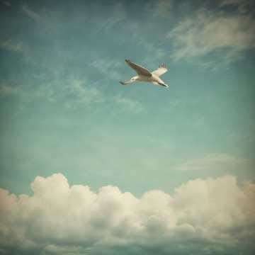 The Price of Freedom - © 2025 (*) v.1.0S