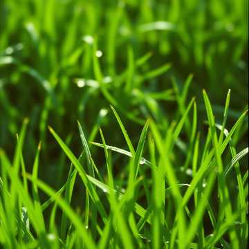 夏天雨後(男聲版)