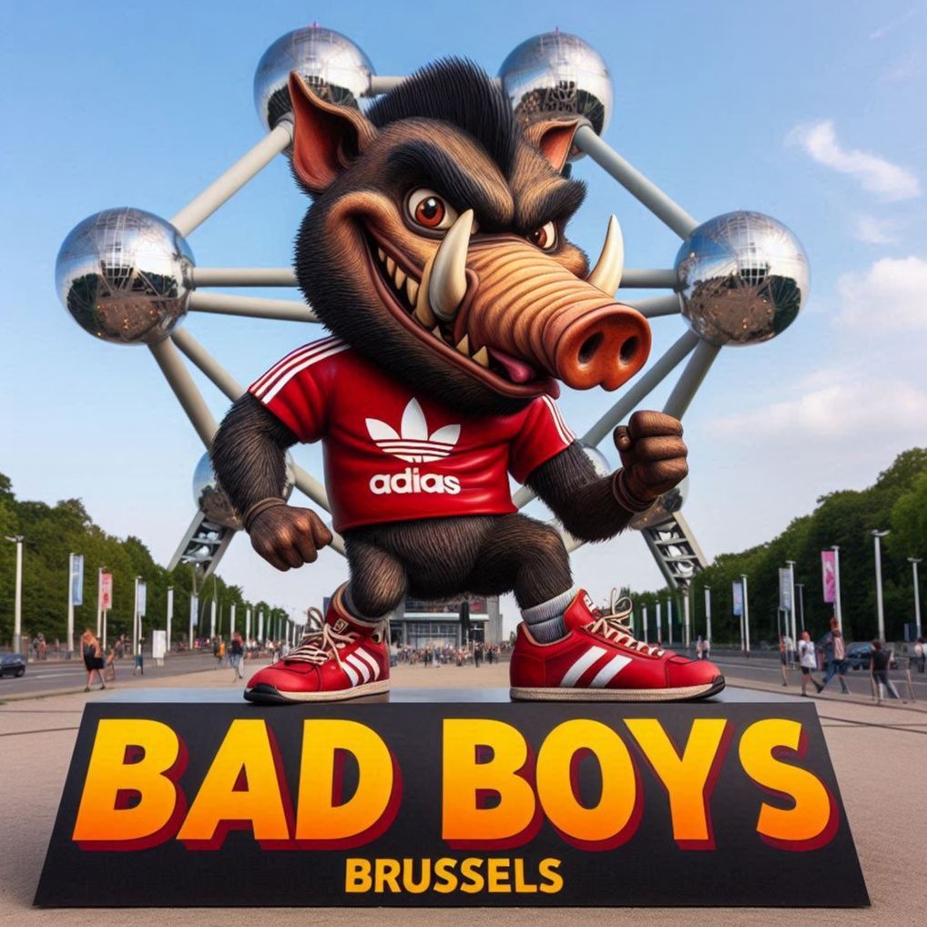 Bad boys de Bruxelles