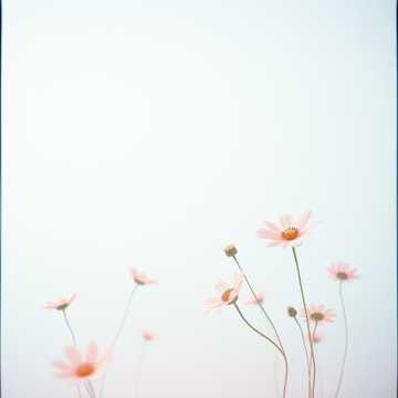 Pardonne cette nuit / Perdonami stanotte