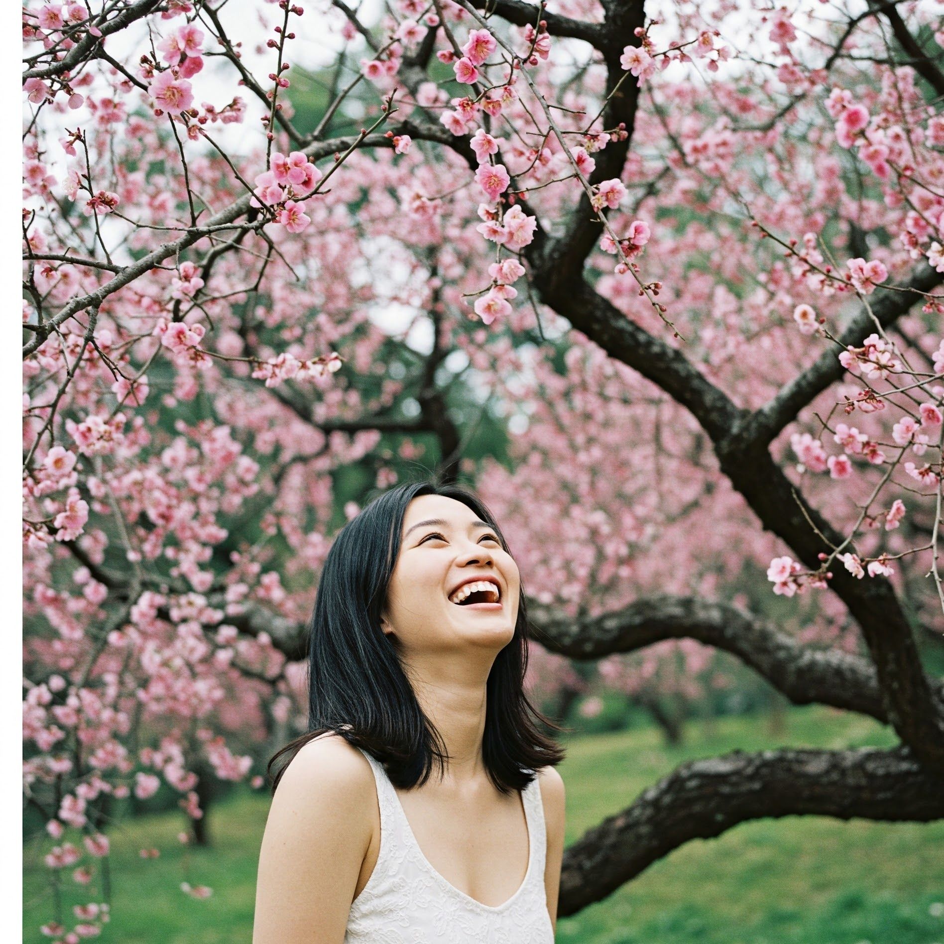 A Springtime Hymn(봄날 찬양 R)