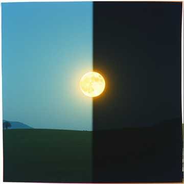 La moitié du monde entre nous/ Half the World Between Us