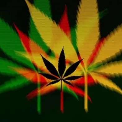 420 Dub (Musical Youth Tribute)