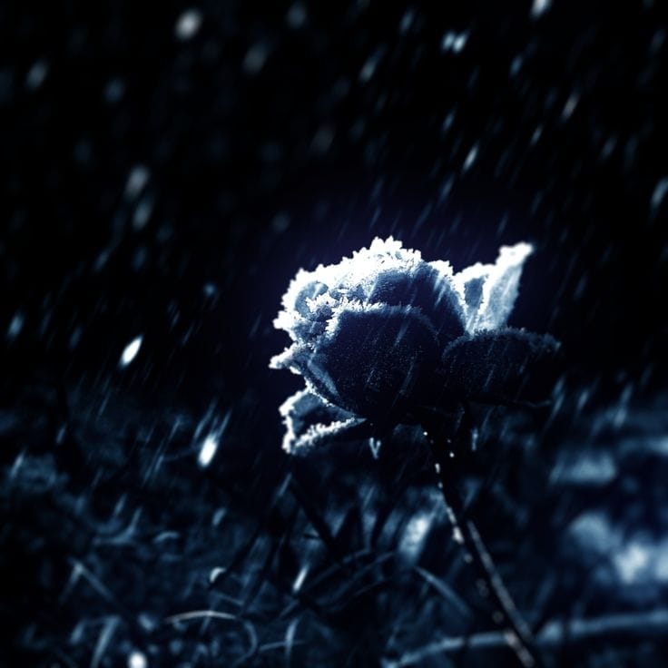 Nightfall