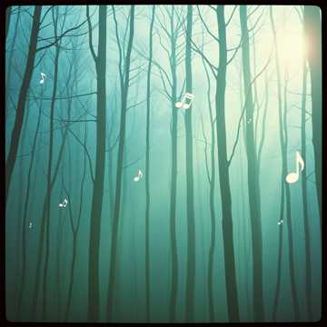 Là où chantent les bois perdus
