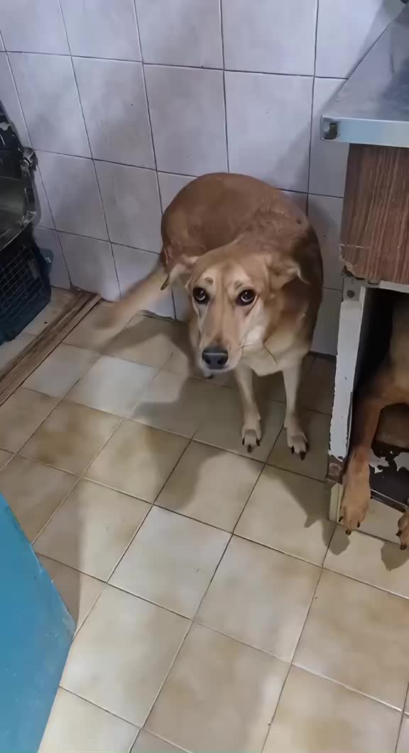 Best friend