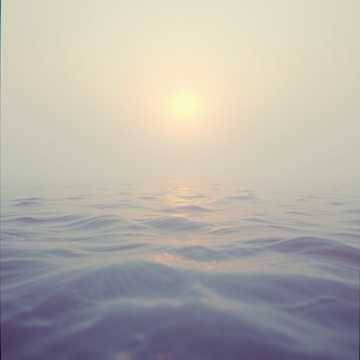**Silent Spaces**  english hindi gujarati spanish BArbara E>D>H>D