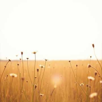 바람아, 속삭여줘