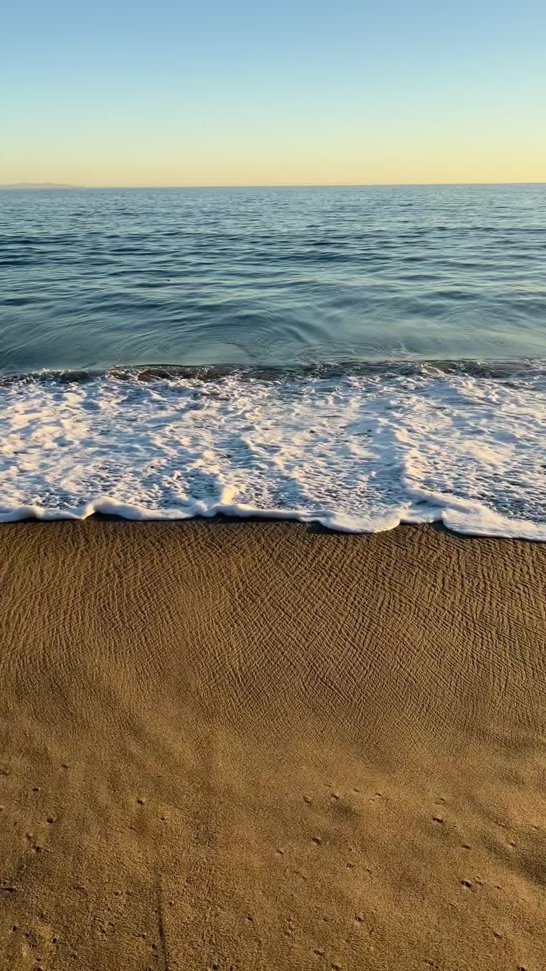 Feel Alive
